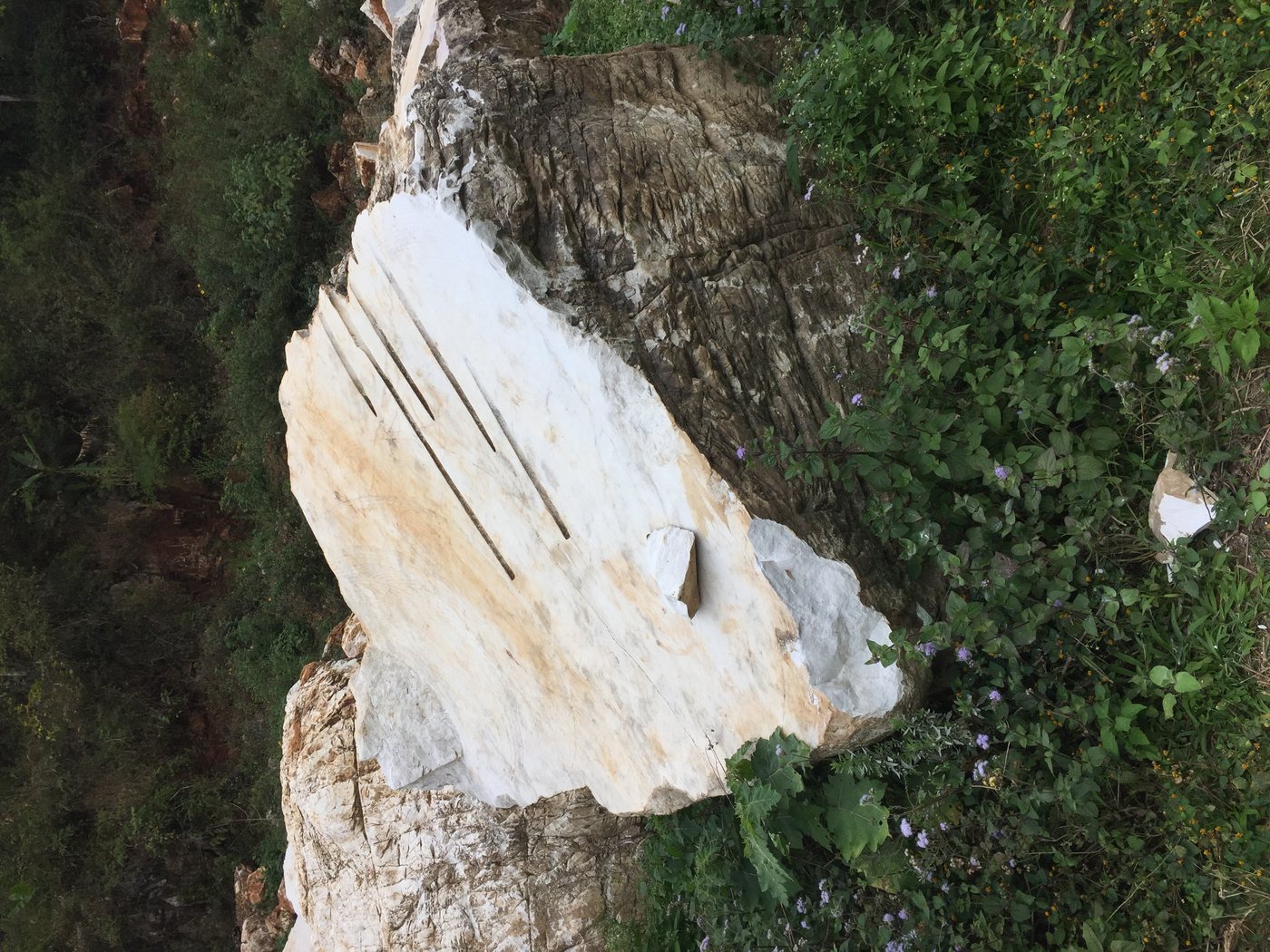 Stone outcrop at the Laos mine